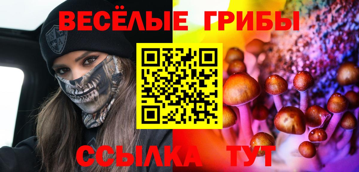 Галлюциногенные грибы прущие грибы  Псилоцибиновые грибы прущие грибы  Вход с VPN  Мытищи 