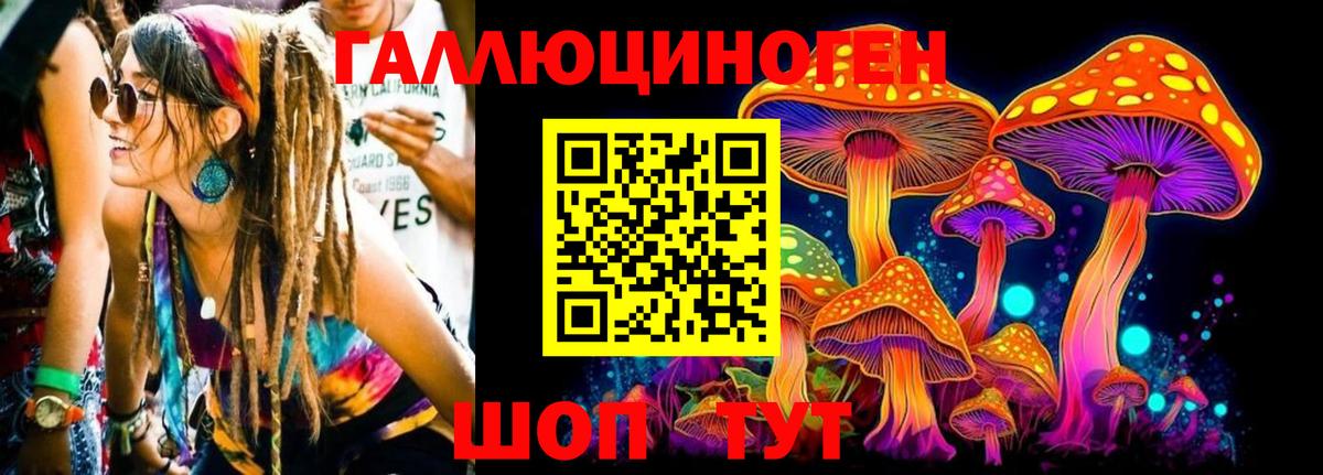 Псилоцибиновые грибы Psilocybe Мытищи